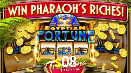 Cassino ao vivo com dealers reais na s08